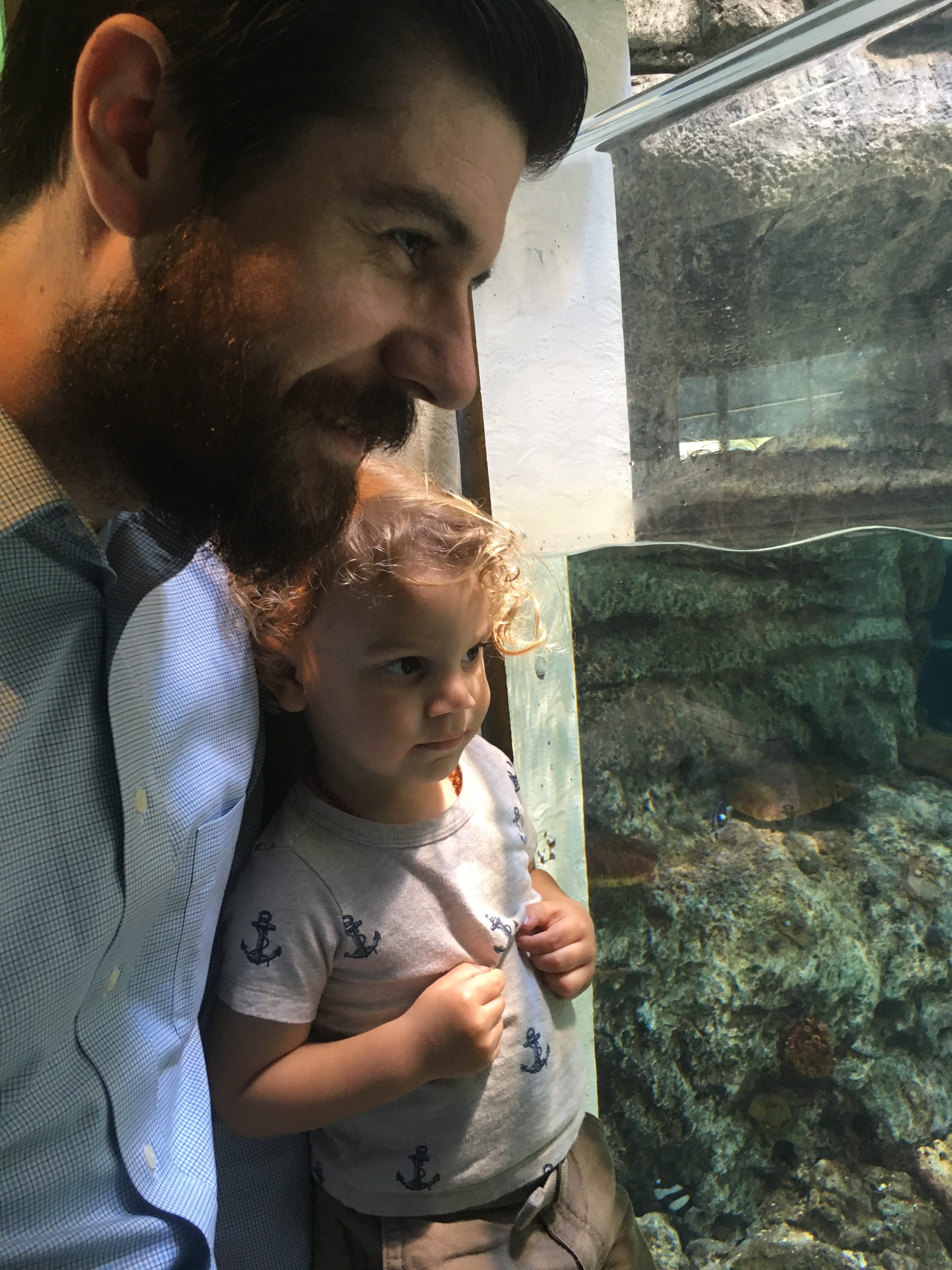 JJ Daddy Aquarium