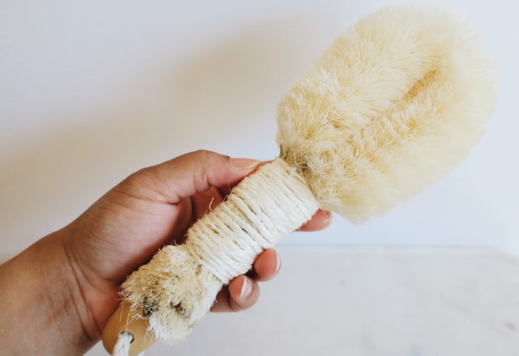 summer ready: Vegan Dry Brush- GGS- Felixinsideout