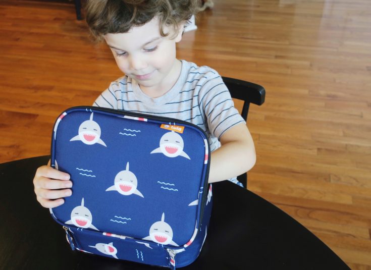 JJ + tula Preschool Lunchbox Must Haves flatlay- Felixinsideout