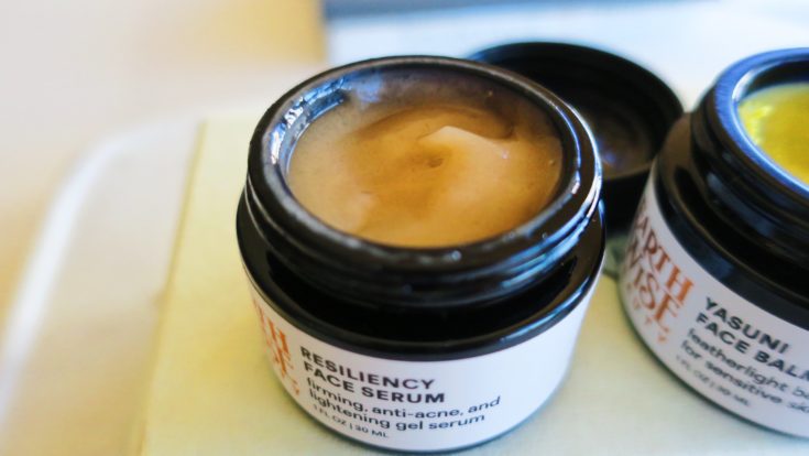 Earthwise Beauty Boxwalla Resiliency Serum- Felixinsideout