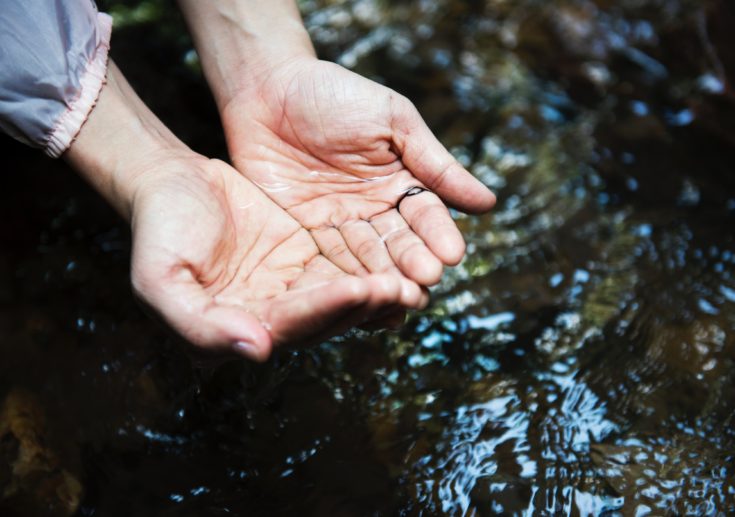 Palms w Water - Brands that Do More MudLove Water for Good - Felixinsideout