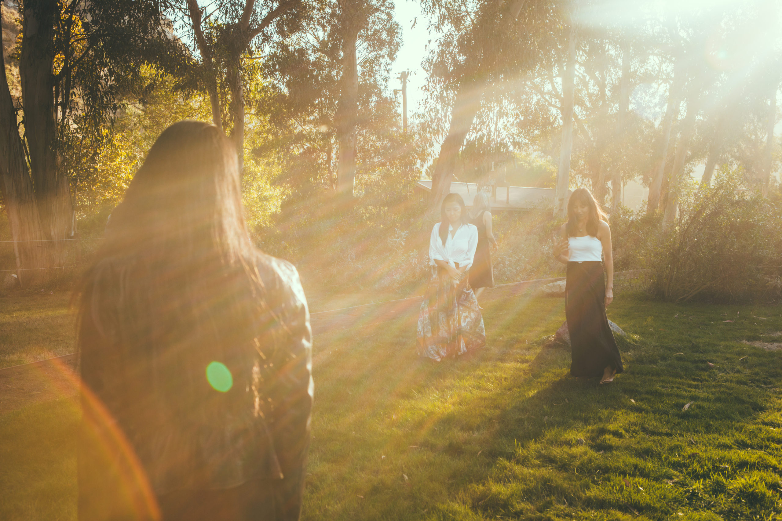 pathway to zen meditation - felixinsideout - Greerinez